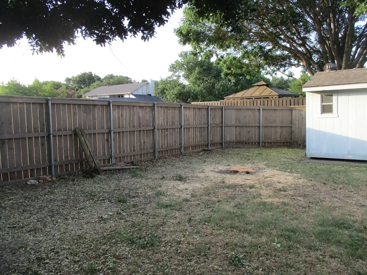 Cleared yard after professional tree removal in East Kingston